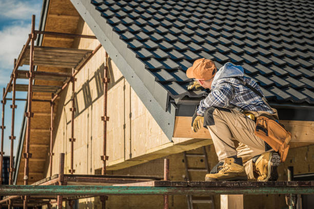Best Gutter Installation and Roofing  in Monte Alto, TX