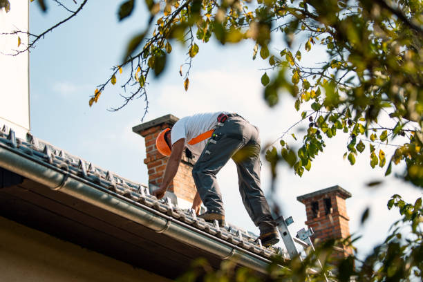Best Best Roofing Contractors  in Monte Alto, TX