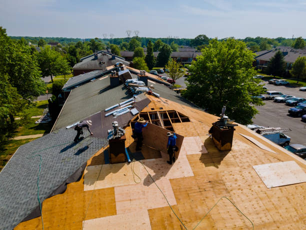 Quick and Trustworthy Emergency Roof Repair Services in Monte Alto, TX