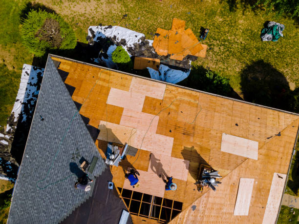 Best Roof Gutter Cleaning  in Monte Alto, TX