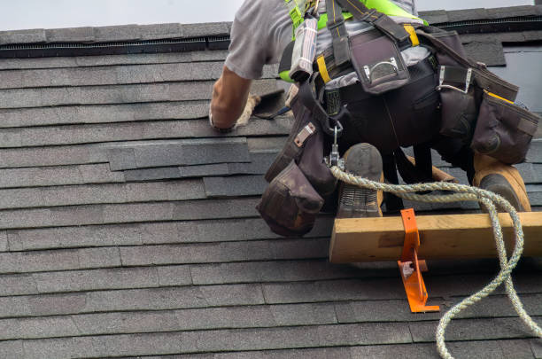 Best Best Roofing Contractors  in Monte Alto, TX