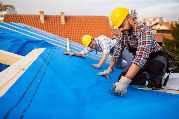 Professional Roofing Contractor in Monte Alto, TX