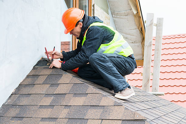 Best Sealant for Roof  in Monte Alto, TX